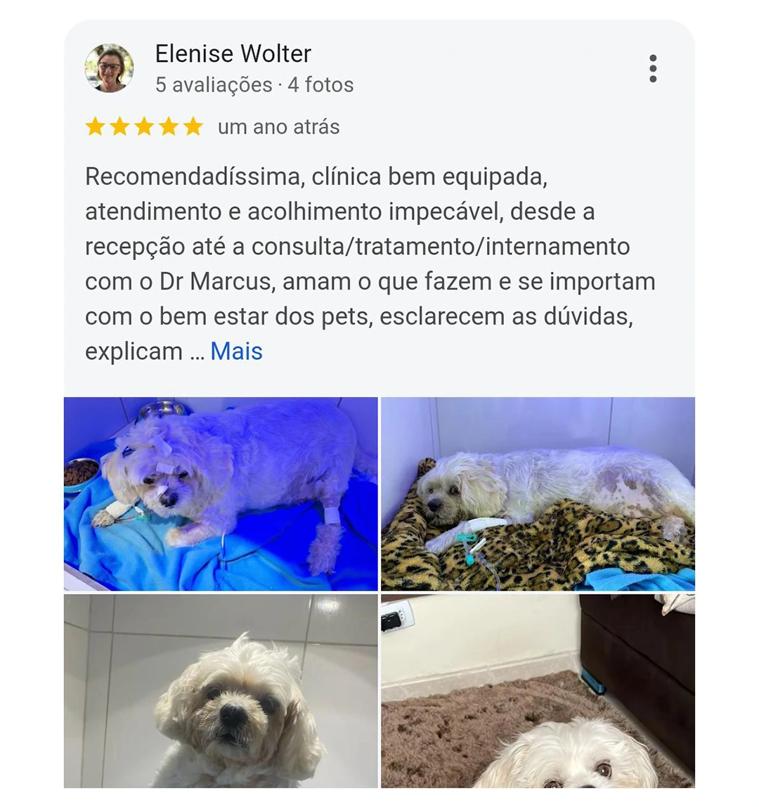 Avaliação Google — 5 estrelas