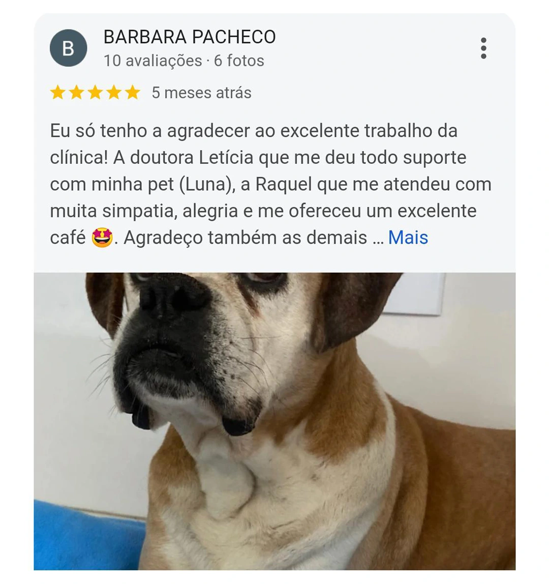 Avaliação Google — 5 estrelas