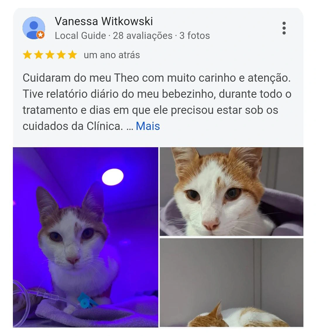 Avaliação Google — 5 estrelas