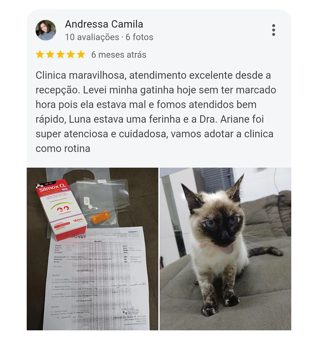 Avaliação Google — 5 estrelas